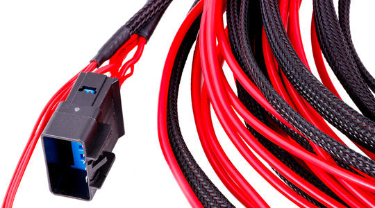 MaxxECU - Rale ja Sulakerasia