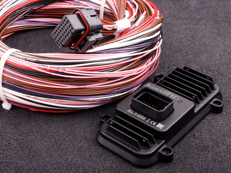 MaxxECU Expansion Module + johtosarja