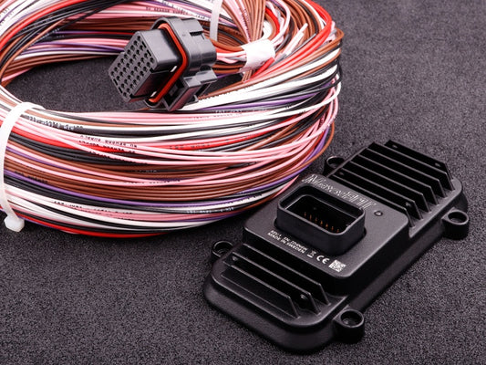 MaxxECU Expansion Module + johtosarja