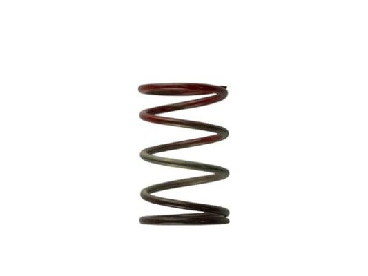 Turbosmart - Gen4 IWG WG38/40/45/50L 11PSI MIDDLE SPRING – BROWN/RED