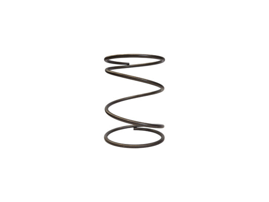 TiAL Sport - MVR Series Wastegate Spring (Plain)