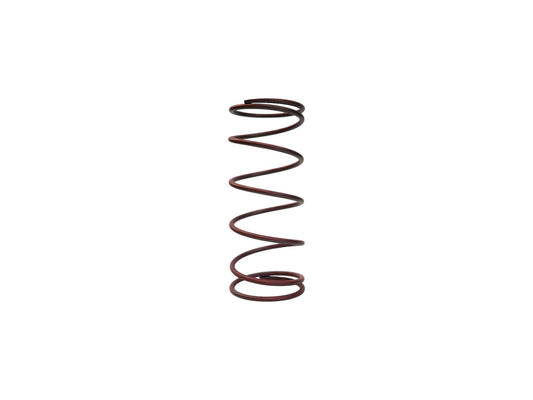 TiAL Sport - MVS / MVR Series Wastegate Spring (Red)