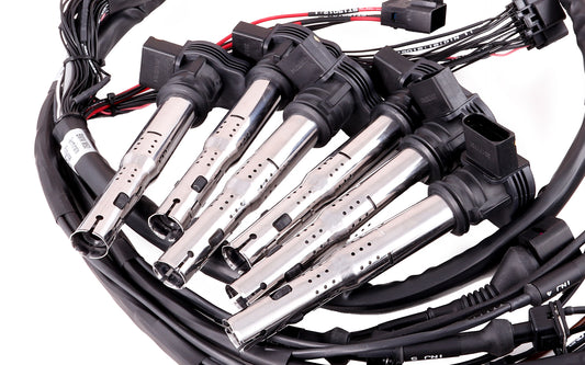 MaxxECU Moottorin Johtosarja - BMW M50 (sisältää Puolat + LSU 4.2 anturin)